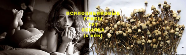 мескалин Алексеевка