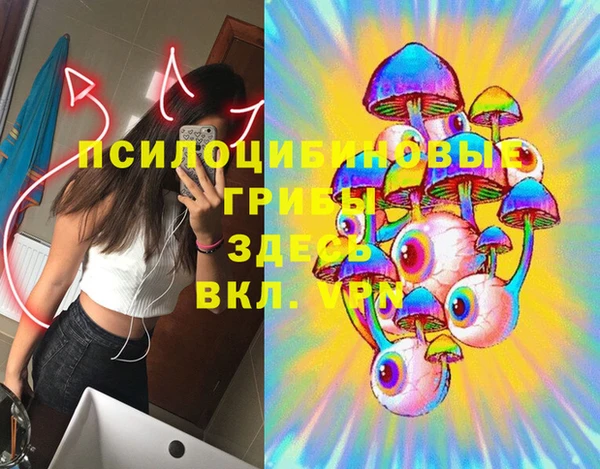 гашик Абдулино